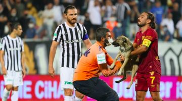 VIDEO: Bumba ir bumba! Kucēns Turcijā pamatīgi iztraucē svarīgu futbola maču